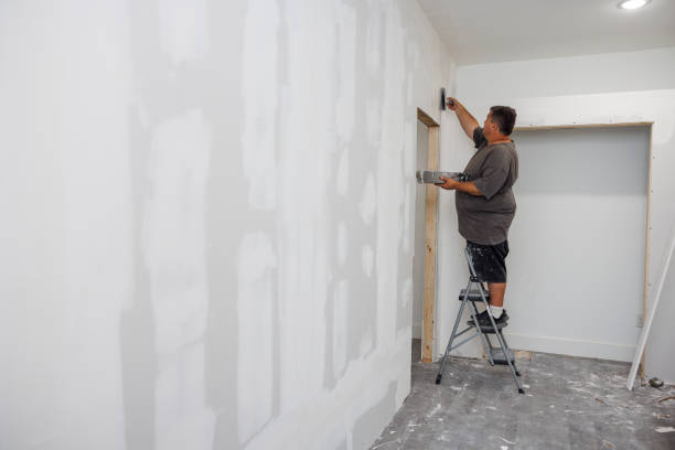 Best Basement Mold Removal  in USA